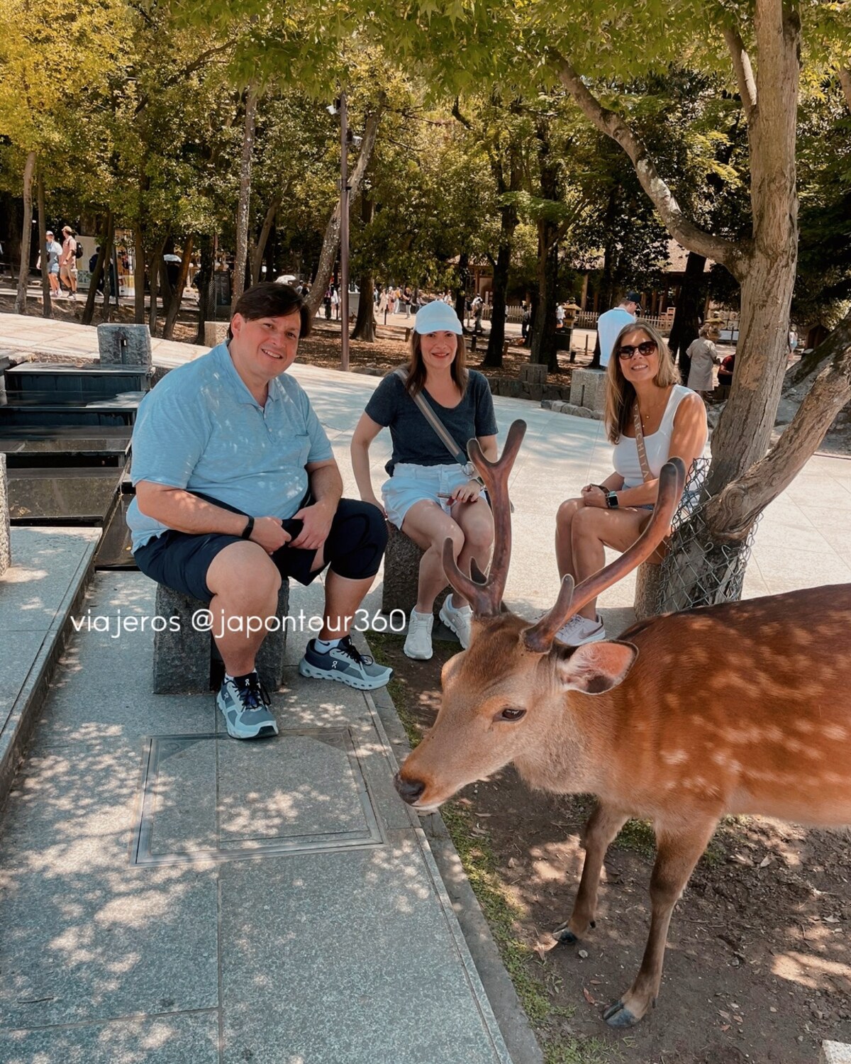 Experiencia JAPAN360