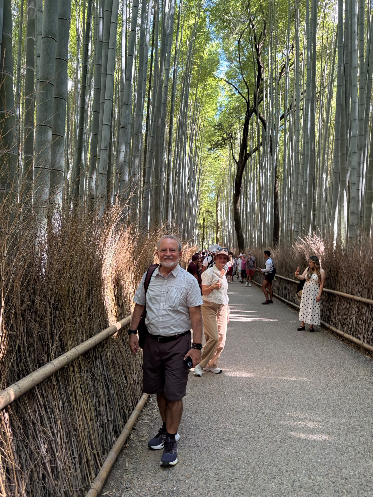 Viajeros durante un paseo por un bosque de bambú
